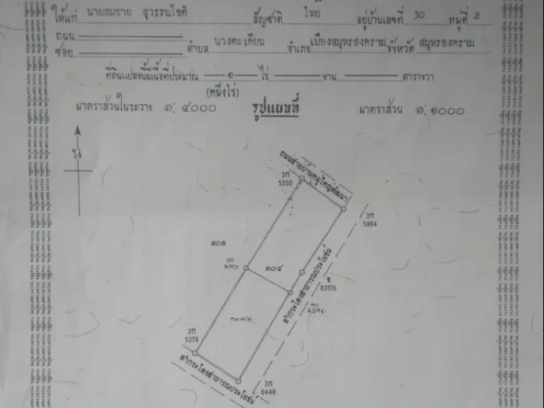 ที่ดิน400ตรวเต็ม ติดถนนลาดยาง-มีคลองลำกระโดง 2ข้างอยู่ อเมือง จสมุทรสงคราม มีไฟฟ้า-น้ำ