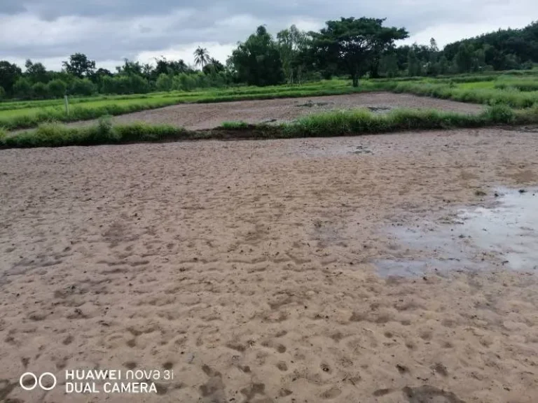 ขายที่ดินด่วน บ้านท่าลาด ติดถนน เจ้าของขายเอง