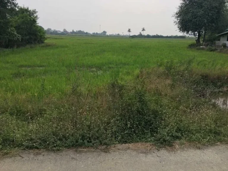 ขายที่ดินเปล่า ที่สวย ทำเลดีจังหวัดสุพรรณบุรี เนื้อที่6-0-80 ไร่