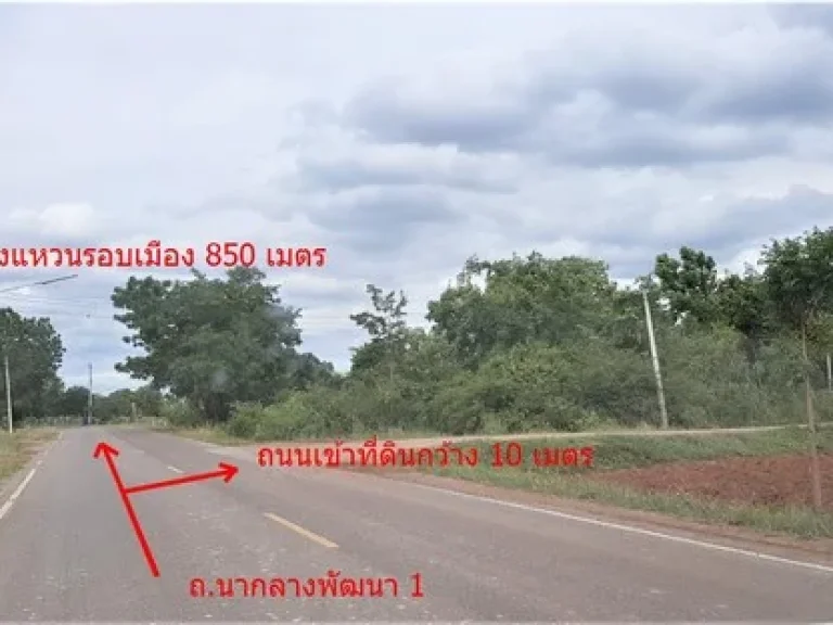 ขาย ที่ดิน 4-0-80 ไร่ ผังม่วง นากลาง สูงเนิน โคราช ใกล้วงแหวนรอบเมือง