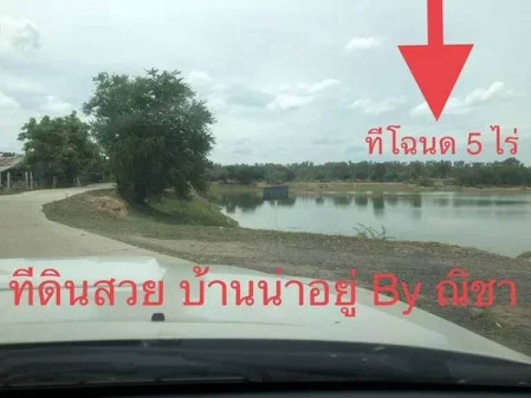 ขายด่วนที่ดินเปล่า บ้านหนองติ้ว คูเมือง จังหวัดบุรีรัมย์ เนื้อที่ 5 ไร่