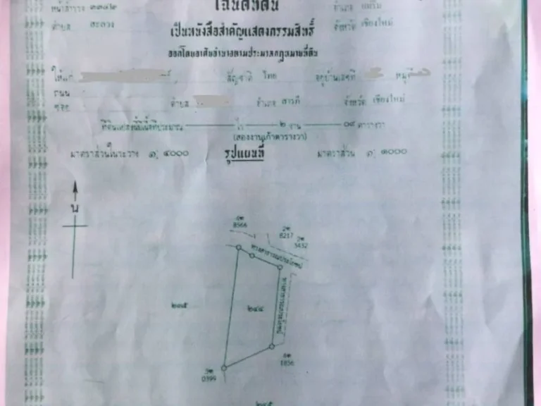 ขายที่ดิน แม่ริม โฉนด ที่เนิน วิวภูเขามีต้นไม้ขนาดใหญ่ สามารถสร้างบ้านบนต้นไม้ชมวิวภูเขาได้