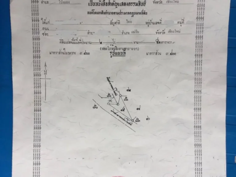 ขายที่ดิน เนื้อที่ 4-1-95ไร่ โป่งแยง โฉนด เนินดอย วิวภูเขา ติดถนนแม่ริม-สะเมิง โซนแหล่งท่องเที่ยว