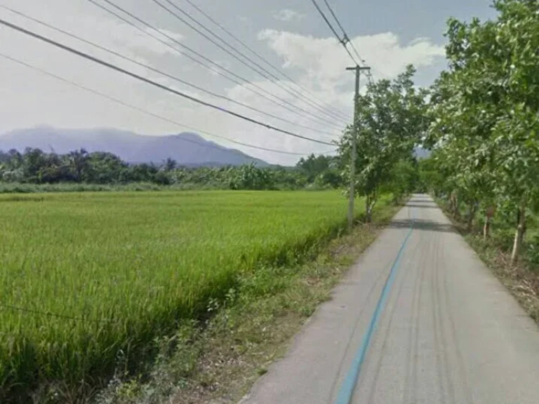 ขายที่ดินวิวดอย สันป่าตอง บ้านกลางแม่วาง เชียงใหม่