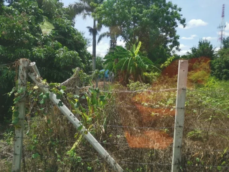 ขายที่ดิน ถ ซุปเปอร์ไฮเวย์เชียงใหม่ - ลำปาง ต สารภี อสารภี จเชียงใหม่