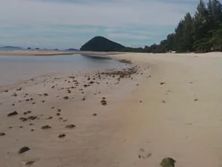 ขายที่ดินเปล่า 3 ไร่ ใกล้หาดทุ่งวัวแล่นบีช ชายหาดสวยที่สุดชุมพร ปะทิว ชุมพร