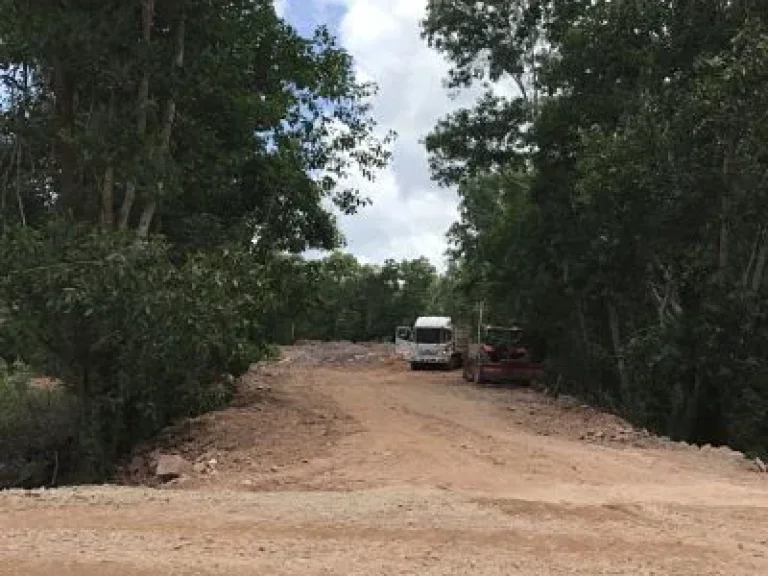 Sale Land near Beach 3 Rais with Chanote Chumphon