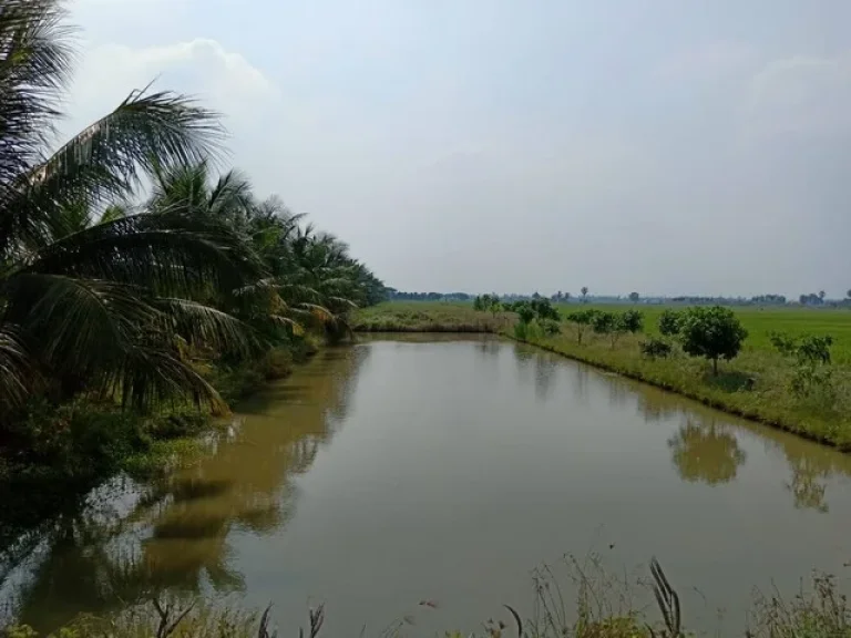 ขาย ที่ดิน ปทุมธานี ลาดหลุมแก้ว ติดถนนเมน ตรงข้ามโรงเรียนกันตวรรณ 7-3-82 ไร่ ด้านหน้าขุดบ่อไว้