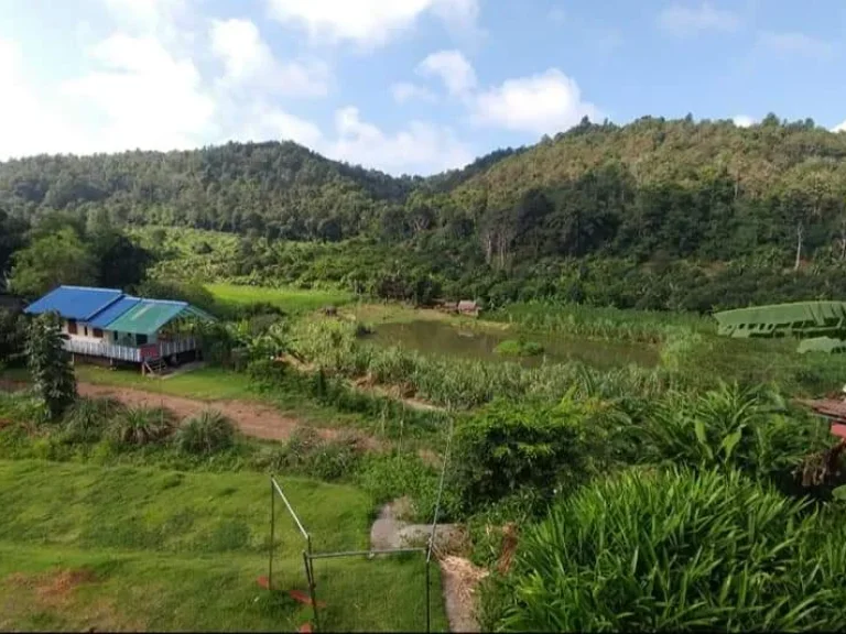 ขายรีสอทร์บ้านช้าง แม่แตง เชียงใหม่