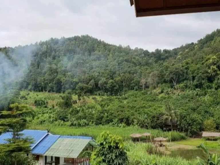 ขายรีสอทร์บ้านช้าง แม่แตง เชียงใหม่