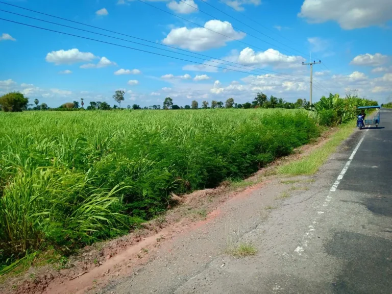 ขายที่ดินสวยๆติดถนนลาดยาง อสีคิ้ว