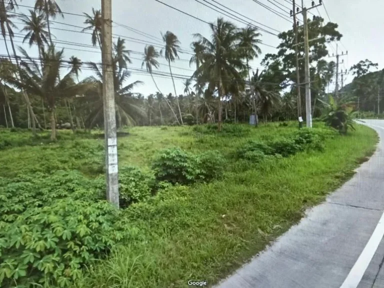 ที่ดินเกาะสมุยทำเลดี ราคาถูกมาก