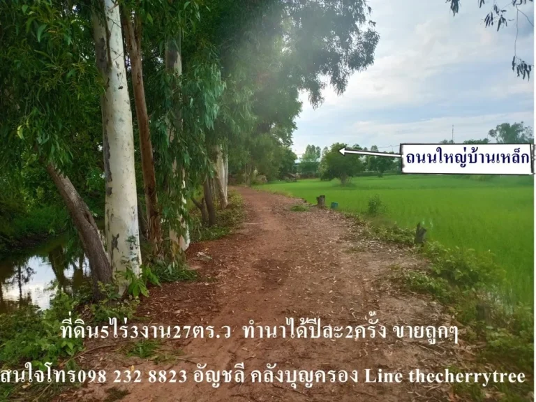 ขายที่ดินกาฬสินธุ์ บเหล็ก ที่ดินเพื่อสร้างบ้านสวนทำเกษตร น้ำถึง ไฟถึง ห่างจากถนนใหญ่เส้นบ้านเหล็กเพียง200เมตร5ไร่3งาน27ตรว ขายเพียง2ล้าน ถูกและดีต้อ