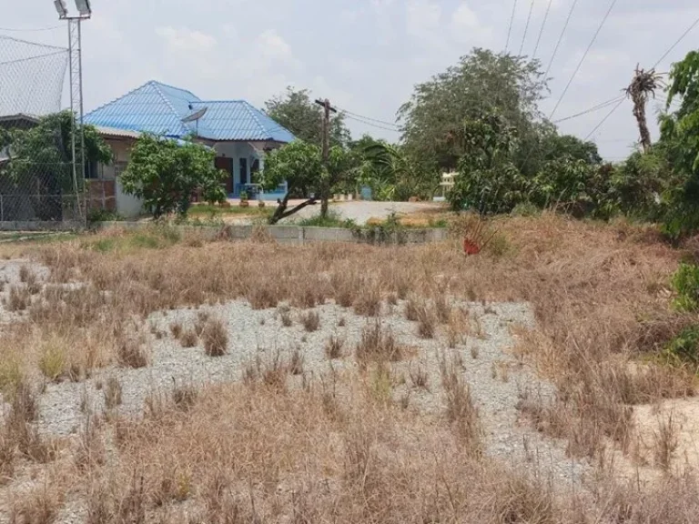 ขายที่ดินถมแล้วตัวเมืองสุพรรณ พร้อมสิ่งปลูกสร้าง ตรั้วใหญ่ อเมืองสุพรรณบุรี จสุพรรณบุรี เนื้อที่ 9 ไร่ 68 ตรว