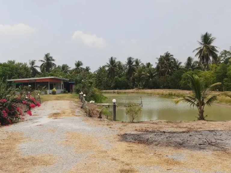 ขายที่ดินถมแล้วตัวเมืองสุพรรณ พร้อมสิ่งปลูกสร้าง ตรั้วใหญ่ อเมืองสุพรรณบุรี จสุพรรณบุรี เนื้อที่ 9 ไร่ 68 ตรว