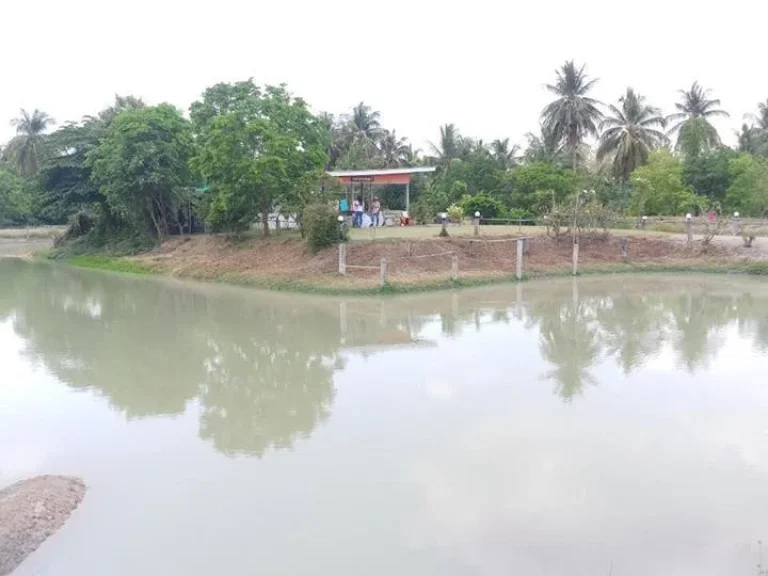 ขายที่ดินถมแล้วตัวเมืองสุพรรณ พร้อมสิ่งปลูกสร้าง ตรั้วใหญ่ อเมืองสุพรรณบุรี จสุพรรณบุรี เนื้อที่ 9 ไร่ 68 ตรว