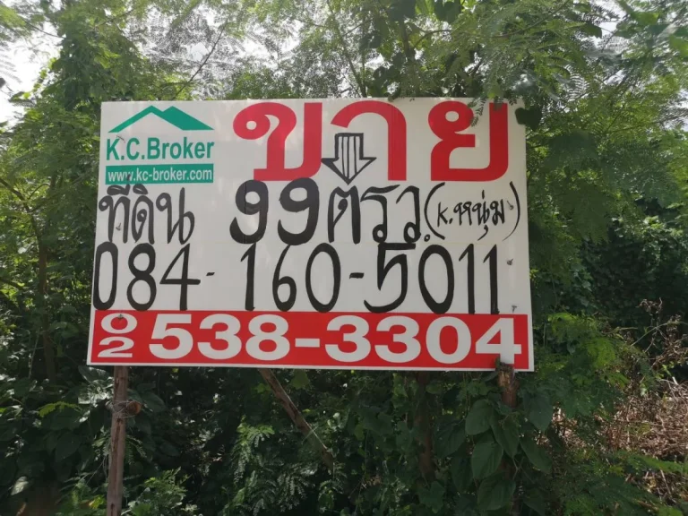 ที่ดินเปล่า 99 ตรว ซอยสังคมสงเคราะห์10