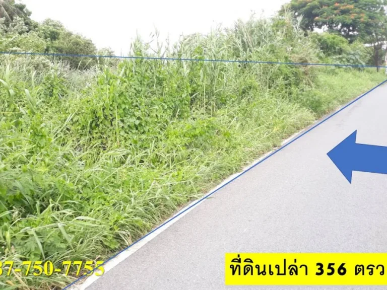 ขายที่ดินเปล่า 356 ตรว เมืองปทุม