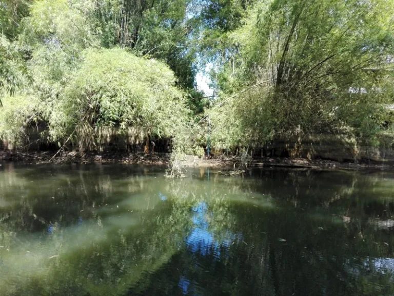 ที่ดิน1ไร่ติดแม่น้ำปราณบุรี