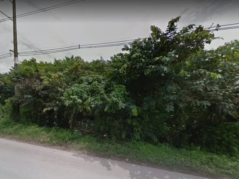 ขายที่ดินบายพาส 20 ไร่ อเมือง สุราษฎร์ Land For Sale 20 Rai Baypass Rd AMueang Suratthani