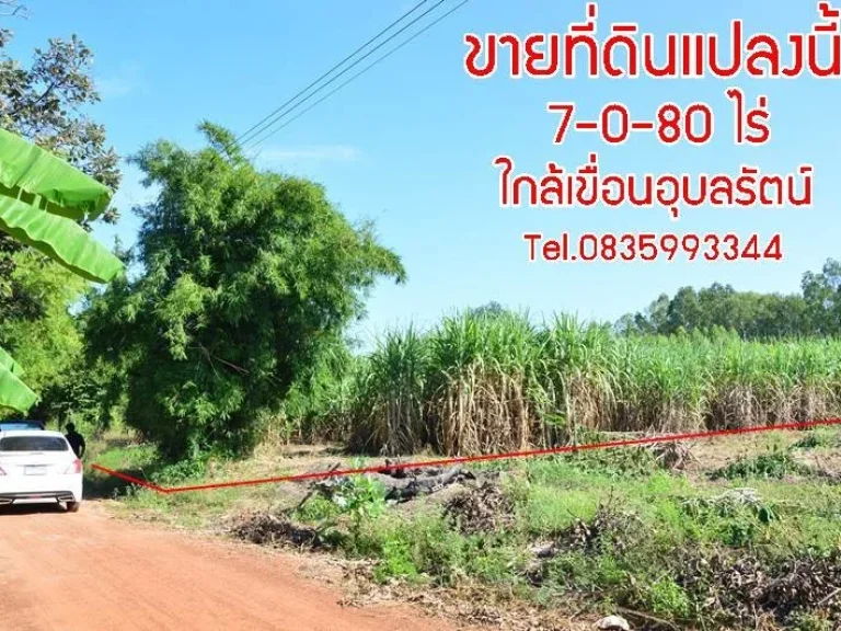 ขายที่ดินโฉนด เขื่อนอุบลรัตน์ ขอนแก่น 7-0-80 ไร่ ใกล้หาดบางแสน2 เพียง 2 กม