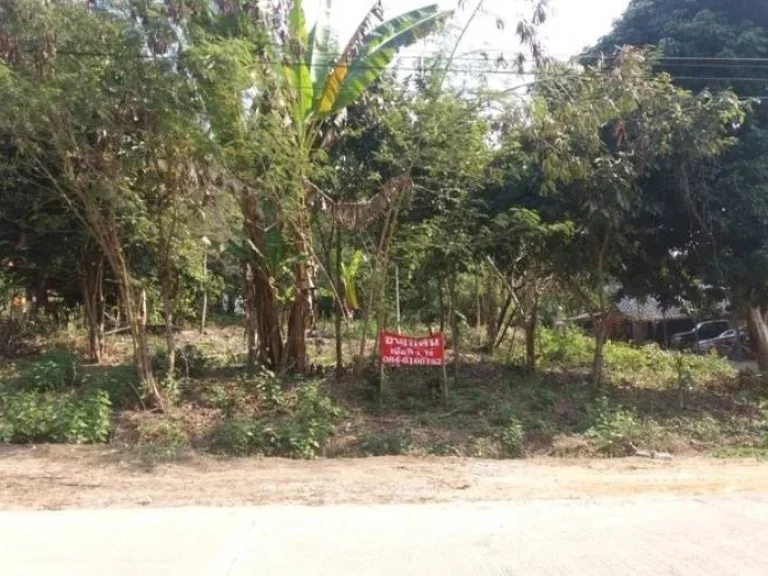 ขายที่ดิน 1 ไร่กว่า Land for SALE ใกล้สถานที่ท่องเที่ยวไร่ชาฉุยฟง ดอยแม่สลอง ถ้ำหลวงนางนอน