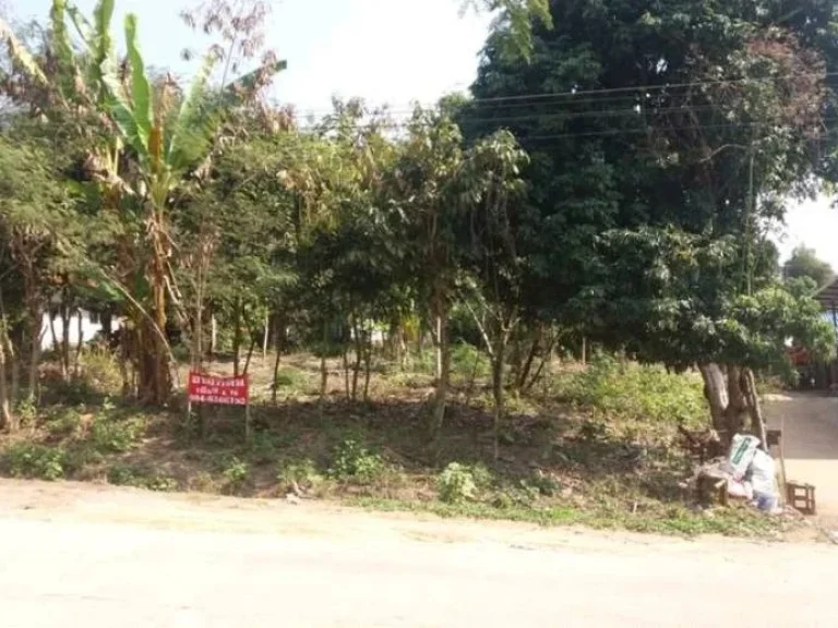 ขายที่ดิน 1 ไร่กว่า Land for SALE ใกล้สถานที่ท่องเที่ยวไร่ชาฉุยฟง ดอยแม่สลอง ถ้ำหลวงนางนอน