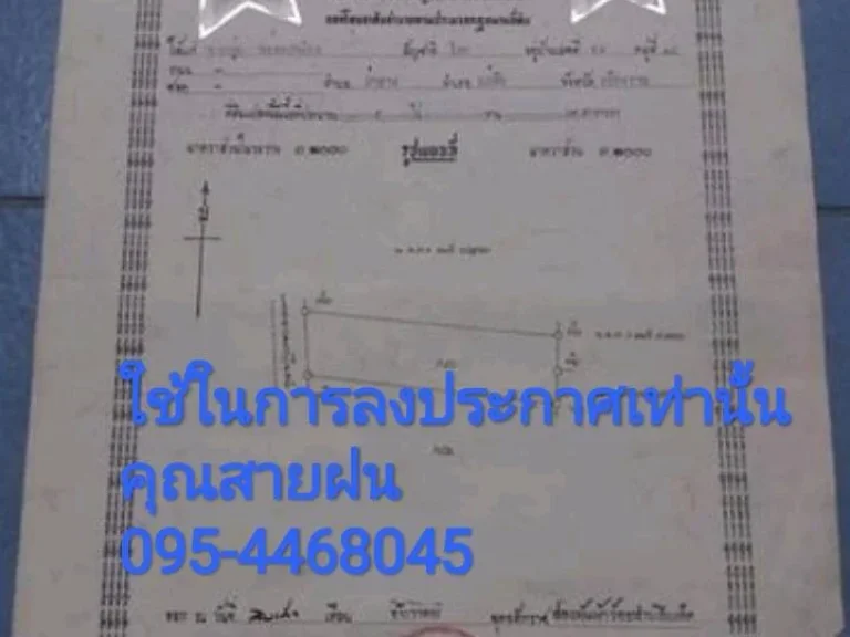 ขายที่ดิน 1 ไร่กว่า Land for SALE ใกล้สถานที่ท่องเที่ยวไร่ชาฉุยฟง ดอยแม่สลอง ถ้ำหลวงนางนอน