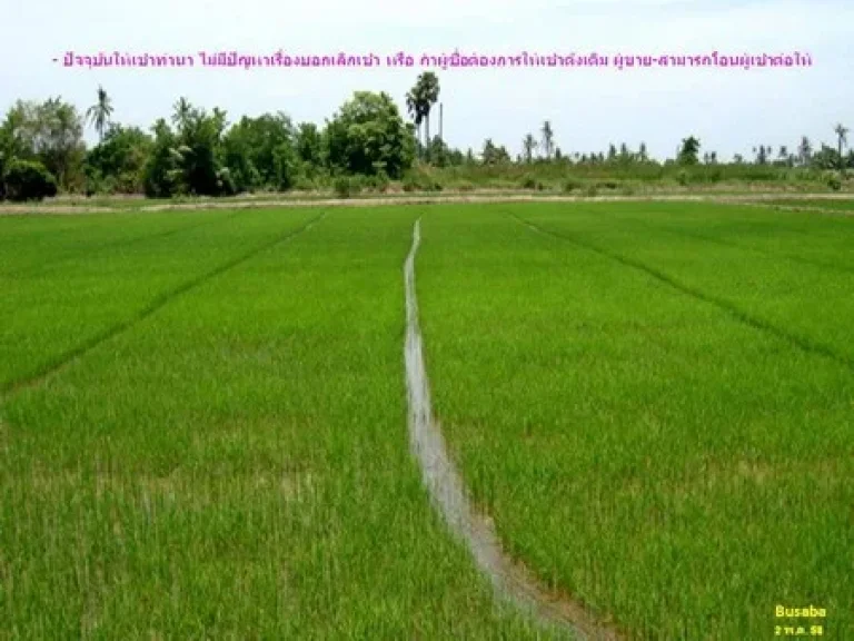 ขายที่ดิน 23-3-32 ไร่ ใกล้ทางขึ้น-ลง ด่านนครชัยศรีแหลมบัว 202555 ล้านบาท