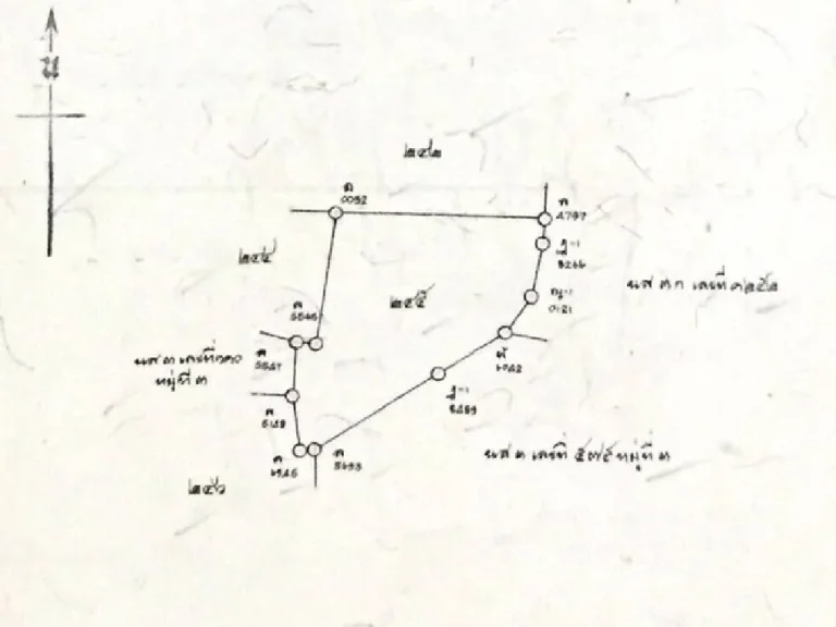 ขายที่ดินสันโป่ง แม่ริม เชียงใหม่