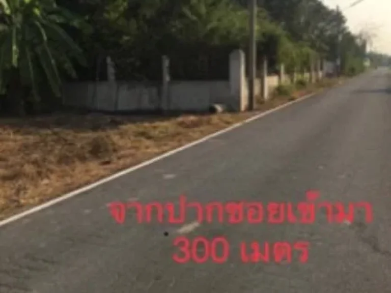 ให้เช่า เดอะ สกาย สุขุมวิท 1 ห้องนอน 1 ห้องน้ำ ชั้น 12 ขนาด 35 ตรม