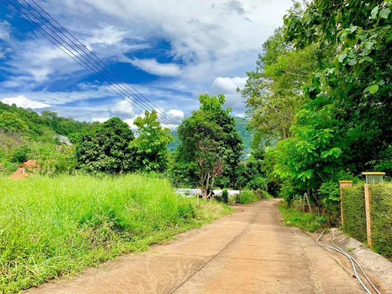 ขายที่ดินโป่งแย่งห่างถนนหลัก 900เมตร แม่ริม เชียงใหม่