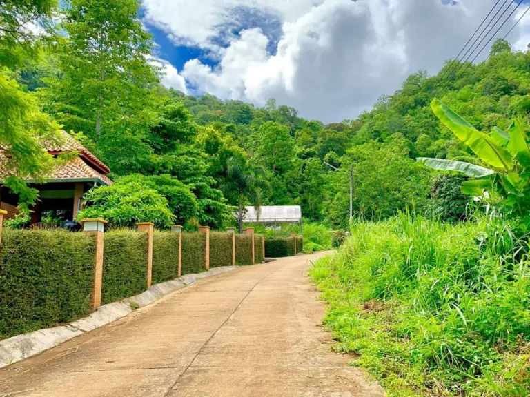 ขายที่ดินโป่งแย่งห่างถนนหลัก 900เมตร แม่ริม เชียงใหม่