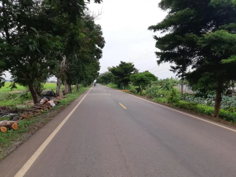 ขายที่ดินติดถนน 20 ไร่ ตบางแตน บ้านสร้าง ปราจีนบุรี