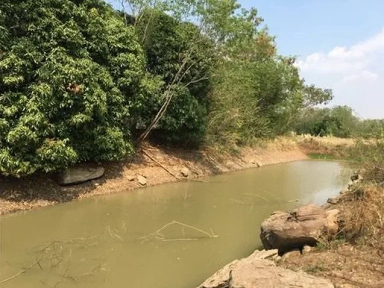 ขายที่ดิน 9 ไร่ ที่สวยวิวสวยติดภูเขา ขายสดหรือผ่อน ราคาต่อรองได้ มีสระเก็บน้ำขนาด 1 ไร่ มีโฉนด