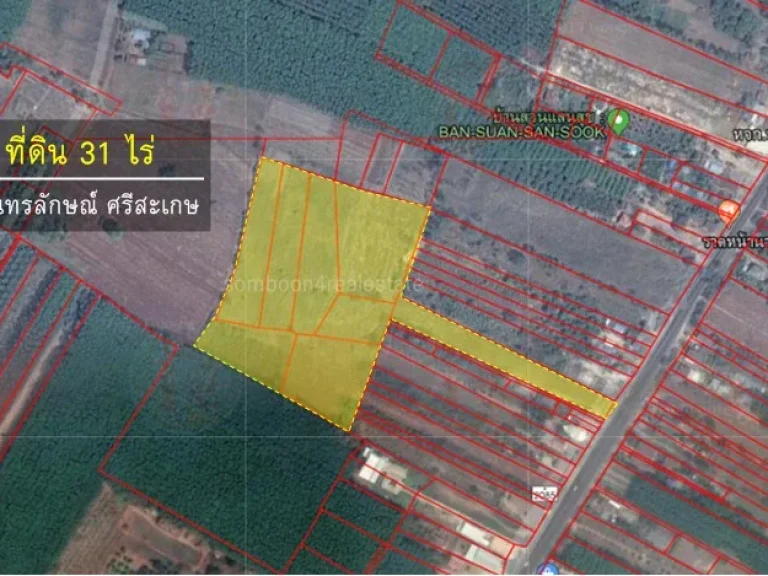 ขายที่ดิน 31 ไร่ ติดถนนใหญ่ กันทรลักษณ์ ศรีสะเกษ