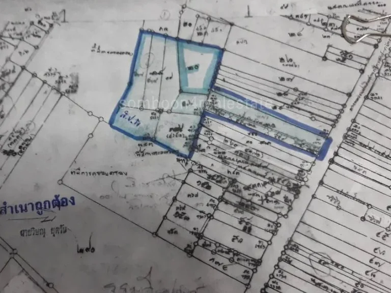 ขายที่ดิน 31 ไร่ ติดถนนใหญ่ กันทรลักษณ์ ศรีสะเกษ