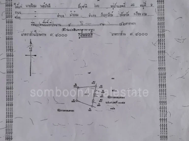 ขายที่ดิน 31 ไร่ ติดถนนใหญ่ กันทรลักษณ์ ศรีสะเกษ