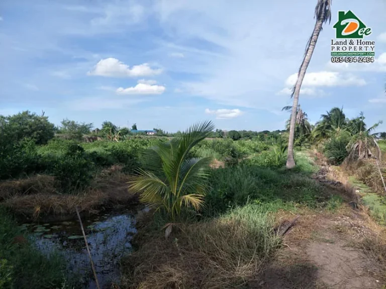 ขายที่ดินสวนเกษตร 14 ไร่ พร้อมบ้านเดี่ยว ถมแล้ว ติดถนน2ด้าน บางสาม บางตะเคียน สองพี่น้อง สุพรรณบุรี LA0137