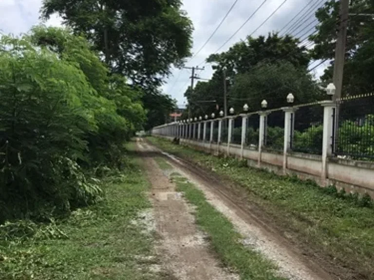 ขายที่ดิน 1 ไร่ รังสิต-คลอง13 เขตธัญบุรี จังหวัดปทุมธานี