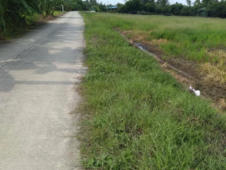 ที่ดินเนื้อที่ 2ไร่ หลังไทวัสดุศาลายา