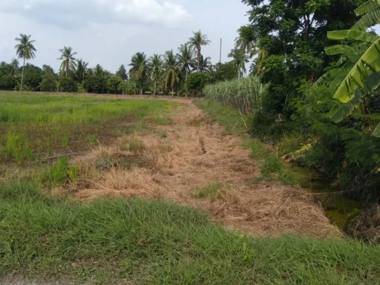 ที่ดินเนื้อที่ 2ไร่ หลังไทวัสดุศาลายา