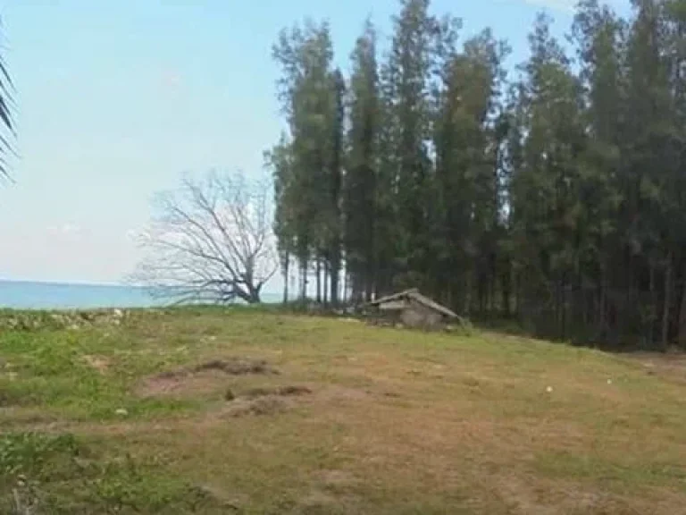 ขายที่ดินติดทะเลชายหาดส่วนตัว หาดพลา ติดเขตสนามบินอู่ตะเภา โฉนด 61 ไร่