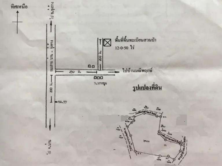 ขายที่ดินสวนสัก