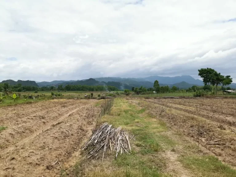 ขายที่ดินในเชียงราย ใกล้ไร่ชาฉุยฟง