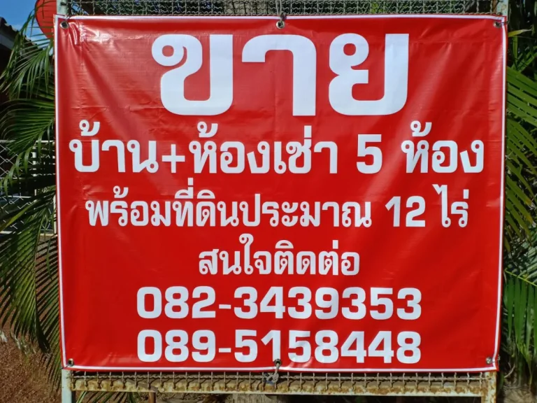 ขายบ้านห้องเช่า5ห้องพร้อมที่ดินประมาน12ไร่