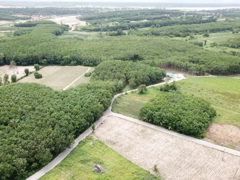 ที่ดินเปล่าโค้งหัวมุม ระหว่างซอย 8-ซอย 9 นิคมพัฒนา