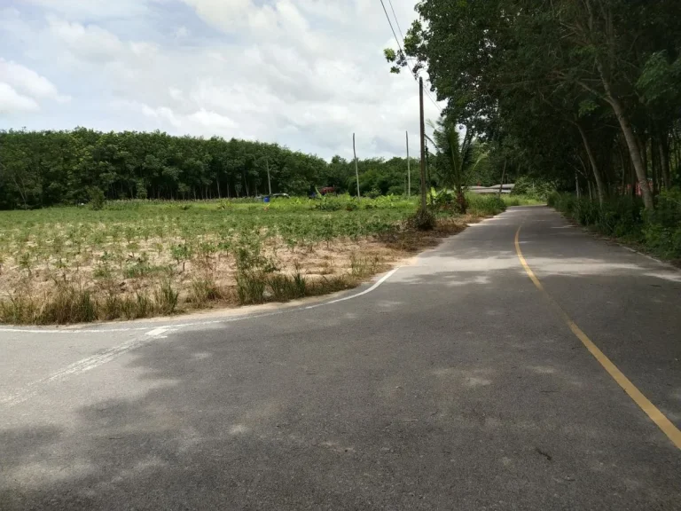 ที่ดินเปล่าโค้งหัวมุม ระหว่างซอย 8-ซอย 9 นิคมพัฒนา