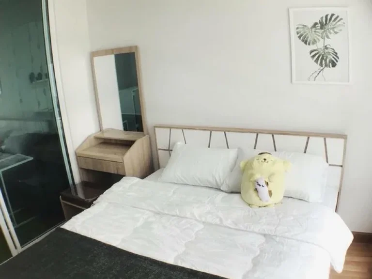 room for rent Regent Home Sukhumvit 81 BTS on nut 28 Sqm 1 bed 1 bath room