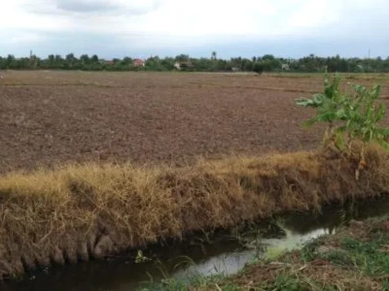 ที่ดิน7ไร่มีโฉนดจสุพรรณบุรี